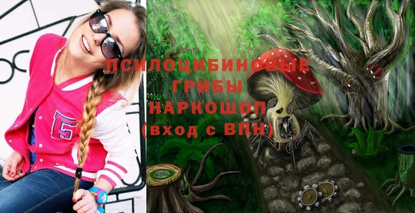 дурь Алексеевка