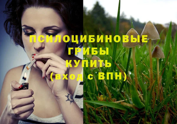 дурь Алексеевка