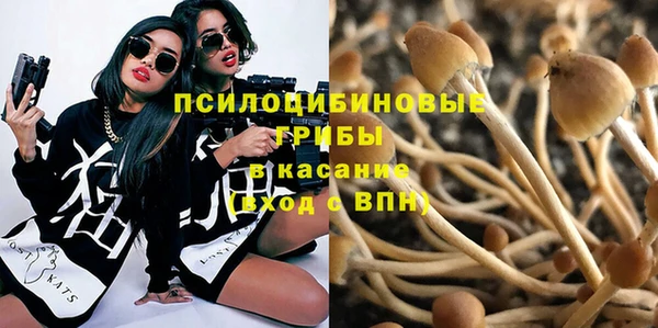 ГАЛЛЮЦИНОГЕННЫЕ ГРИБЫ Новоульяновск